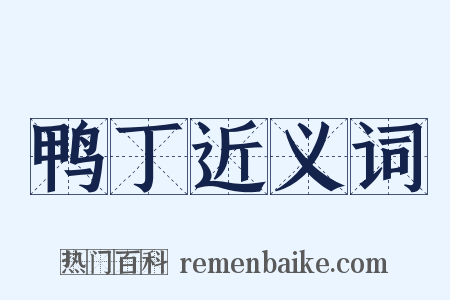 鸭丁近义词是什么意思的图片